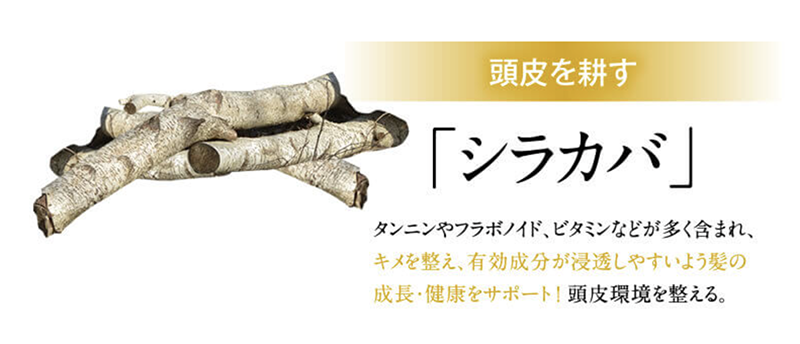 009a27402d07d4541c1507d7eba028f3