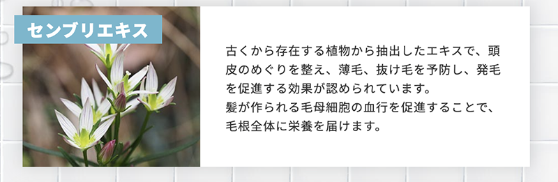 7913031c6c5c05ab45cbf825abdcbdf9