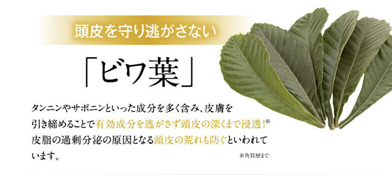 cdf9a070d5eddd53053a47335c366029