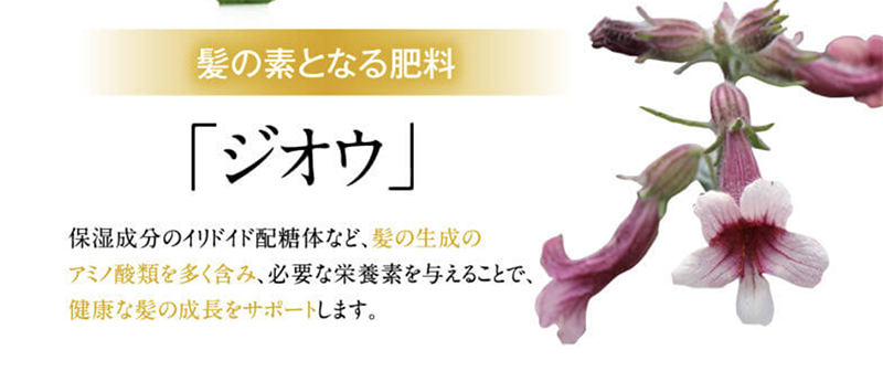 e23eeb4c355d81acb50ac0a40e3254fb