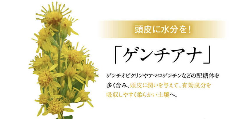 f555af233dda430ea99e377d27cbd59d